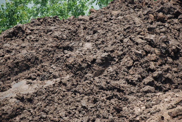 1762413425317824.jpg 淤泥.jpg