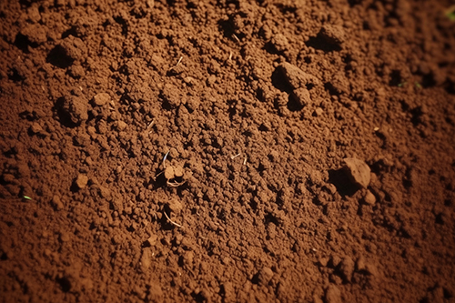 1766745281261513.jpg 摄图网_600425003_农业土壤(企业商用).jpg